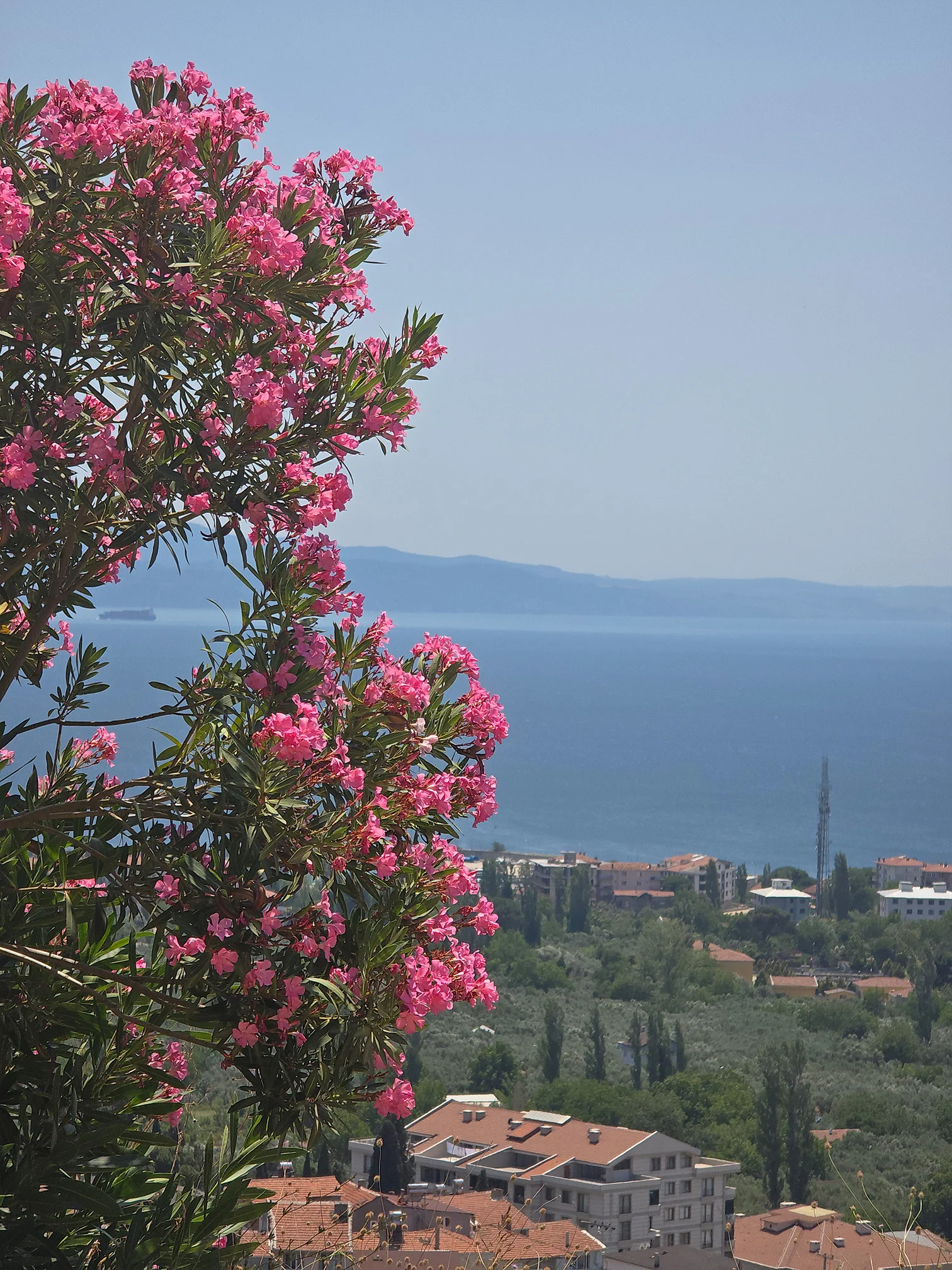 Armutlu Marmara Deniz Manzarası