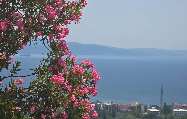 Armutlu Keşfet Panorama